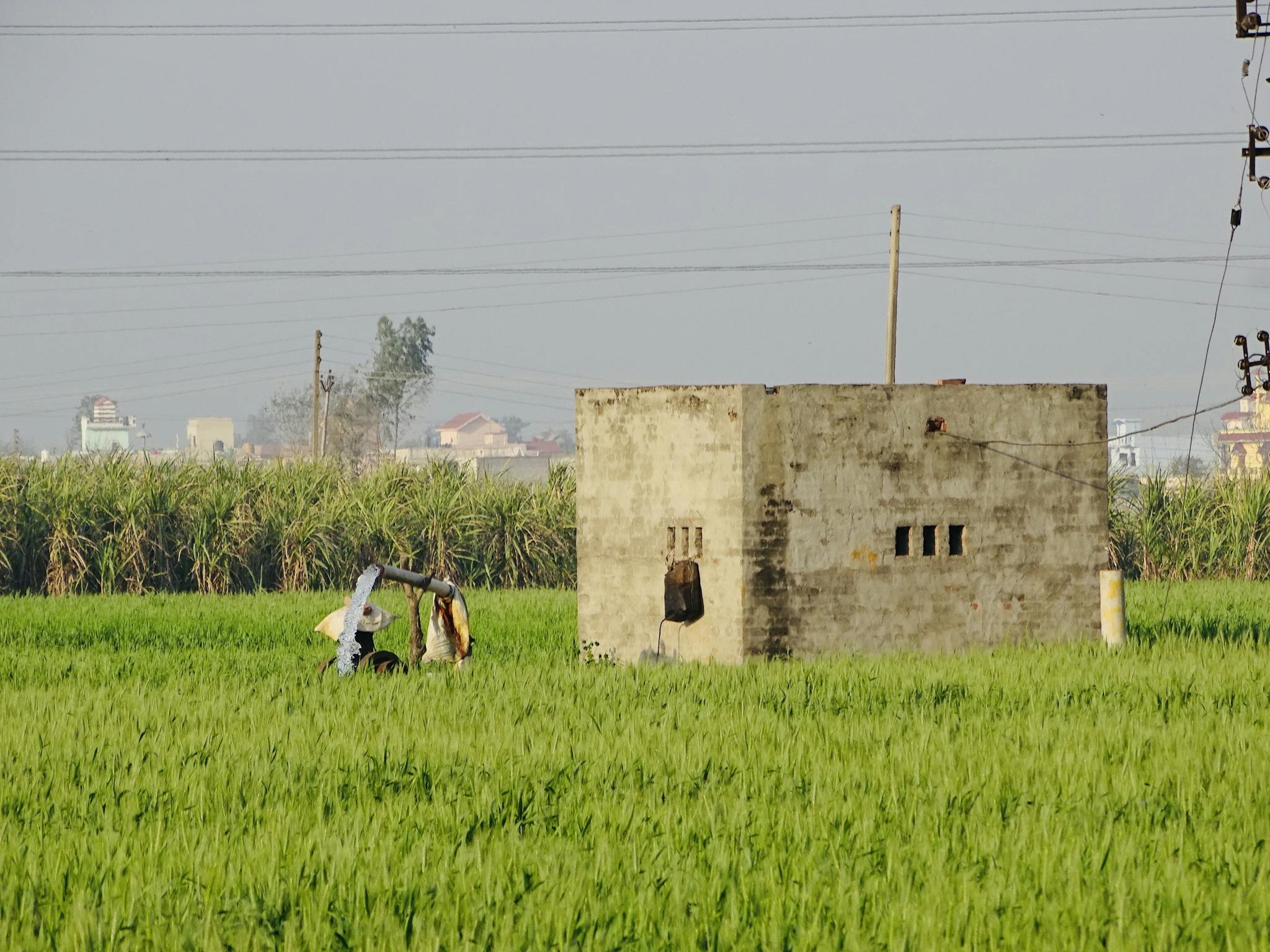 A man working on a pump in a lush green rural farmland setting.