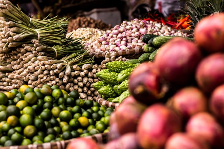 Comment GIBADER lutte contre la malnutrition